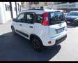 Fiat New Panda 1.0 hybrid 70cv City Life 5 posti Blanc - thumbnail 4