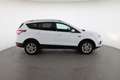 Ford Kuga 2,0 TDCi Titanium AWD Weiß - thumbnail 9