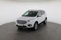Ford Kuga 2,0 TDCi Titanium AWD Weiß - thumbnail 13
