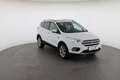 Ford Kuga 2,0 TDCi Titanium AWD Weiß - thumbnail 11