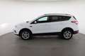 Ford Kuga 2,0 TDCi Titanium AWD Weiß - thumbnail 15