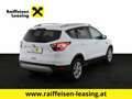 Ford Kuga 2,0 TDCi Titanium AWD Weiß - thumbnail 3