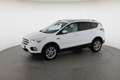 Ford Kuga 2,0 TDCi Titanium AWD Weiß - thumbnail 14