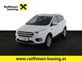 Ford Kuga 2,0 TDCi Titanium AWD Weiß - thumbnail 1