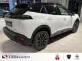 Peugeot 2008 GT HYBRID 145 e-DSC6 Weiß - thumbnail 5