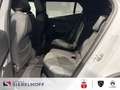 Peugeot 2008 GT HYBRID 145 e-DSC6 Weiß - thumbnail 9