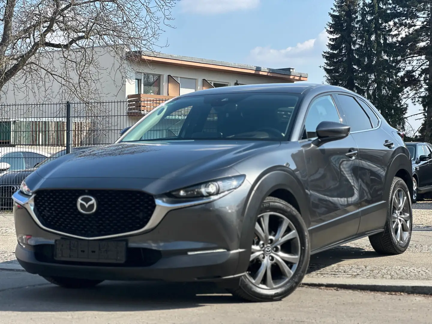Mazda CX-30 Bose/Kamera/Leder/Head-Up Grau - 2