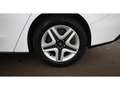Ford Focus Turnier 1.5 EcoBlue Cool & Connect Aut LED Weiß - thumbnail 25