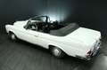 Mercedes-Benz 250 SE Cabrio Blanco - thumbnail 50
