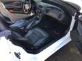 Corvette C5 Cabrio Blanc - thumbnail 6