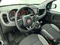 Fiat Panda 1.0 Hybrid City Life | Apple Carplay/Android Auto Schwarz - thumbnail 13