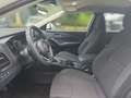 Nissan Qashqai Acenta 140 PS *APPLE CARPLAY*ANDROID AUT Bianco - thumbnail 7