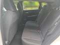 Nissan Qashqai Acenta 140 PS *APPLE CARPLAY*ANDROID AUT Bianco - thumbnail 11