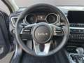Kia XCeed Xceed 1,0 TGDI 48V GPF Silber DCT Silber - thumbnail 11