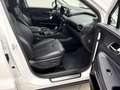 Hyundai SANTA FE 2.2 CRDi 8G Premium BelSi ACC 360° Hifi TotW Navi Blanc - thumbnail 15