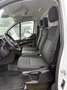 Ford Transit Custom Kasten L2 Trend Rückfahrkamera Blanc - thumbnail 14