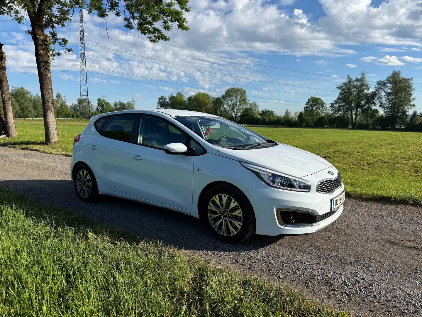 Kia Ceed / cee'd cee'd 1,4 MPI Silber Silber Weiß - 1