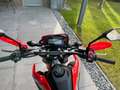 Honda CRF 300 Rally Червоний - thumbnail 5