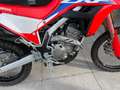 Honda CRF 300 Rally Червоний - thumbnail 6