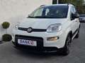 Fiat Panda City Life -Klima/S-Heft/Garantie- Weiß - thumbnail 9