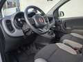 Fiat Panda City Life -Klima/S-Heft/Garantie- Weiß - thumbnail 17
