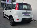 Fiat Panda City Life -Klima/S-Heft/Garantie- Weiß - thumbnail 19