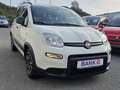 Fiat Panda City Life -Klima/S-Heft/Garantie- Weiß - thumbnail 23