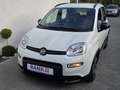 Fiat Panda City Life -Klima/S-Heft/Garantie- Weiß - thumbnail 18