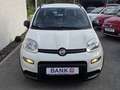 Fiat Panda City Life -Klima/S-Heft/Garantie- Weiß - thumbnail 7