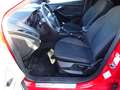 Ford Focus Turnier ST-Line *Winter-Paket*Sicht-Paket* Rot - thumbnail 12