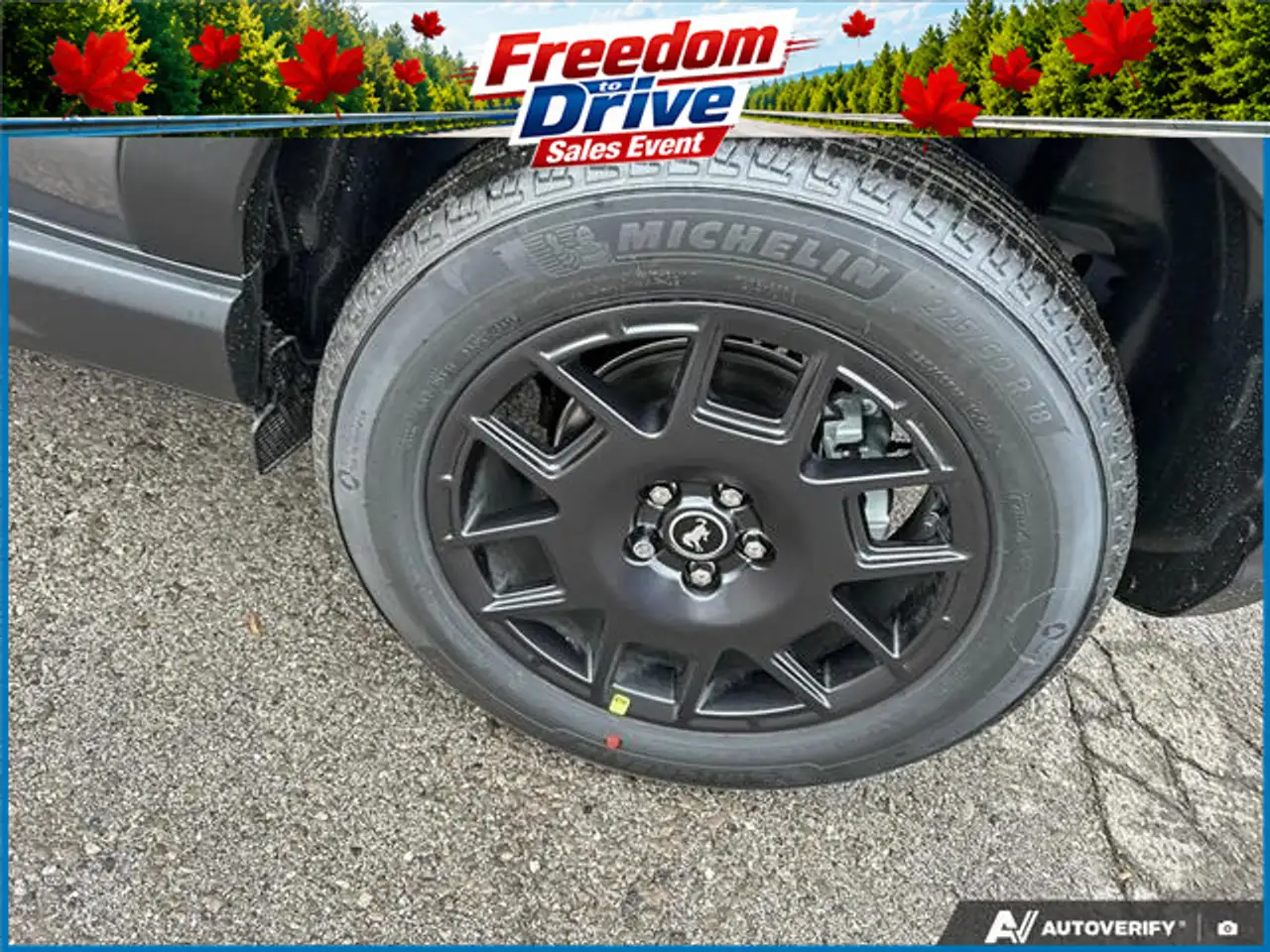Ford Bronco Sport снимка Ford Bronco Sport