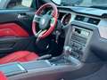 Ford Mustang GT 4.6 V8 Roush/20-Zoll/ 26.000 KM! Negro - thumbnail 29