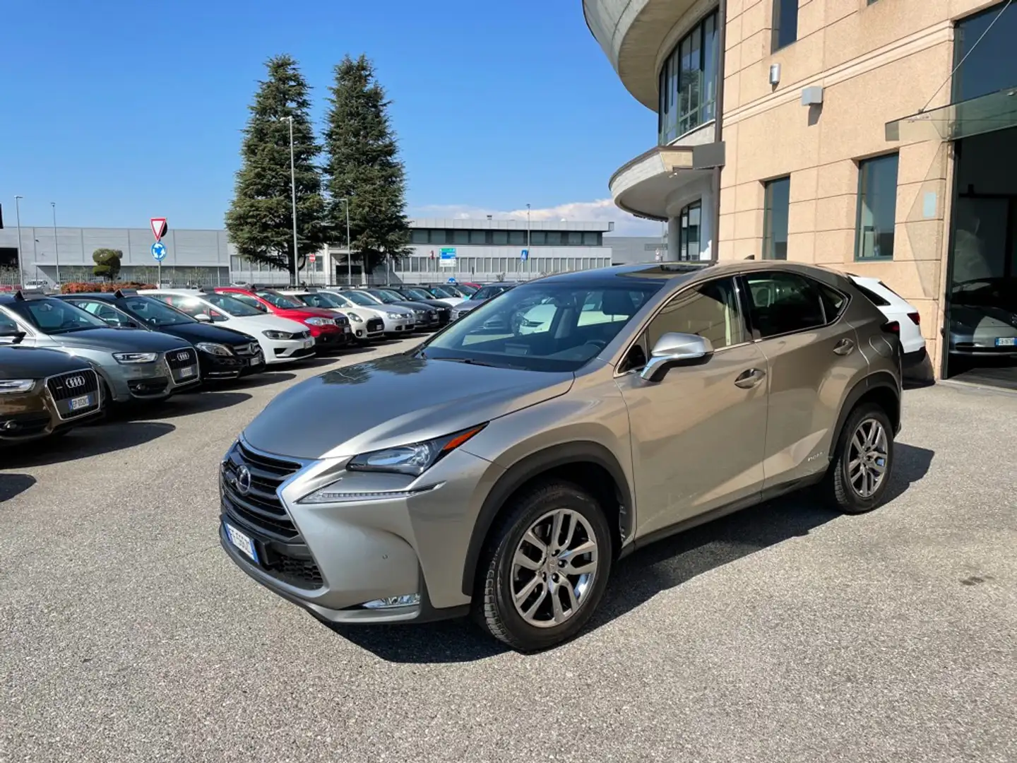 Lexus NX 300 h 2.5 Executive 4wd cvt SERVICE LEXUS PANORAMA IVA Gri - 1