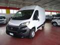 Fiat Ducato 35Q 2.3 MJT 140CV PCorto-TAlto Furgone Blanc - thumbnail 1