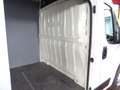 Fiat Ducato 35Q 2.3 MJT 140CV PCorto-TAlto Furgone Blanc - thumbnail 8