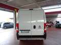 Fiat Ducato 35Q 2.3 MJT 140CV PCorto-TAlto Furgone Blanc - thumbnail 3