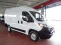 Fiat Ducato 35Q 2.3 MJT 140CV PCorto-TAlto Furgone Blanc - thumbnail 5