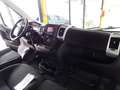 Fiat Ducato 35Q 2.3 MJT 140CV PCorto-TAlto Furgone Blanc - thumbnail 13