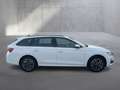 Skoda Octavia Selection TSI Weiß - thumbnail 4