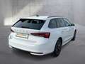 Skoda Octavia Selection TSI Weiß - thumbnail 5