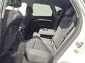 Audi Q5 40 TDI Q. Sport Kameras Matrix Standheizung Weiß - thumbnail 15