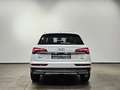 Audi Q5 40 TDI Q. Sport Kameras Matrix Standheizung White - thumbnail 11