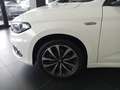 Fiat Tipo 1.6 Mjt S&S DCT 5 porte Lounge Blanc - thumbnail 4