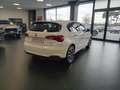 Fiat Tipo 1.6 Mjt S&S DCT 5 porte Lounge Blanc - thumbnail 8