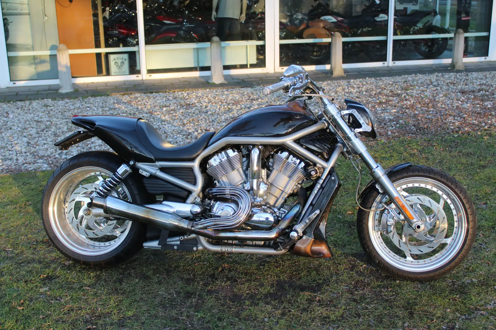 Harley-Davidson V-Rod VRSCAW V-Rod Kahverengi - 2