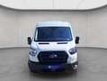 Ford Transit350 L3H2Lkw Trend,Klima,Sitzheizung Fahrer Белый - thumbnail 8