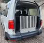 Volkswagen Caddy 2.0 TDI 5Sitzer Behindertengerecht Rollstuhlrampe - thumbnail 8