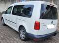Volkswagen Caddy 2.0 TDI 5Sitzer Behindertengerecht Rollstuhlrampe - thumbnail 4