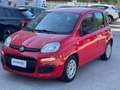 Fiat Panda 1.0 hybrid 70cv Rouge - thumbnail 1