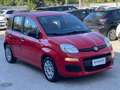 Fiat Panda 1.0 hybrid 70cv Rouge - thumbnail 2